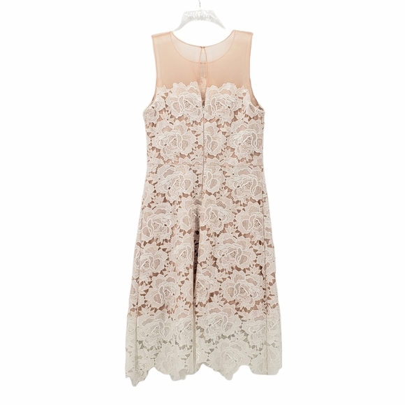 JULIA JORDAN White Lace Overlay & Dust Pink Mesh A-Line Dress 10 - Picture 2 of 9